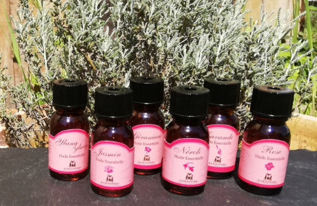 Des fleurs dans les assiettes