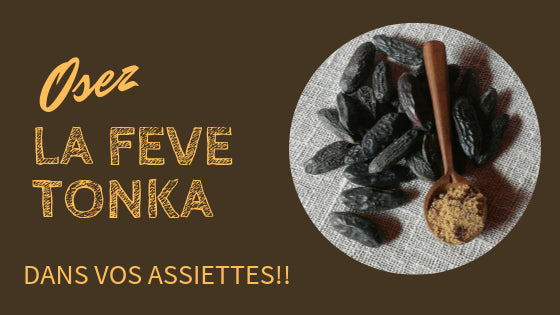 Laissez-vous envoûter par nos recettes à la fève tonka, une épice